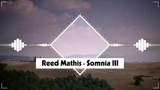 Reed Mathis - Somnia III (No Copyright Music)