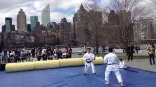 Roosevelt Island Cherry Blossom Festival