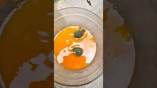 Turtle swollen eyes treatment🐢 | carrot soak | baby turtle | #shorts #telugu #turtles #aquarius