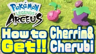 How to Get  Cherrim & Cherubi in Pokemon Legends: Arceus(Cherrim & Cherubi Location)