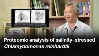 Proteomic analysis of salinity-stressed Chlamydomonas reinhardtii...