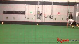 Pro Agility Short Shuttle Using Spark Pro SRV Tool