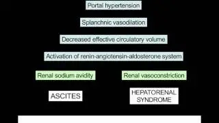 USMLE COMLEX Board Review of Ascites