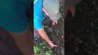 How To Not Run Your Downspout Out