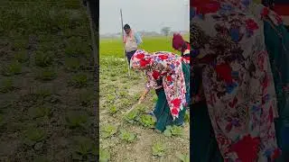 Dubai mein jakar dobara gana Raja Ji