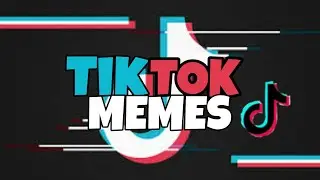 Como ativar o TURBO do seu cachorro!(Funciona mesmo)  |  @gudan_ohusky
