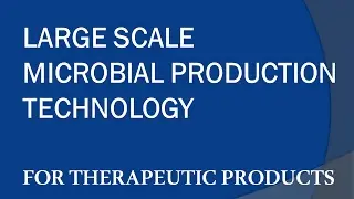 Large Scale Microbial Production Technology for Human Therapeutic Products
