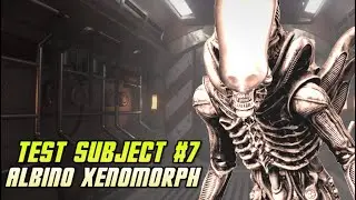 Test Subject #7 (The Albino Xenomorph) - Explained
