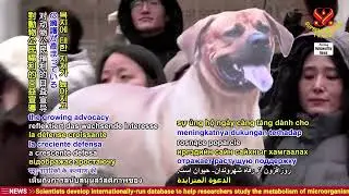 2321 NWN 7 Korea votes to ban eating dog people meat 1080p