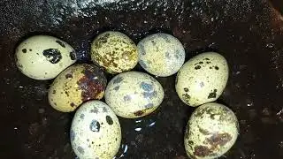 🥚🔥 কোয়েল পাখির ডিমের ঝাল ঝোল | সহজ ঘরোয়া রেসিপি ||