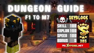 DUNGEON EVERY CLASS GUIDE FAKEPIXEL SKYBLOCK