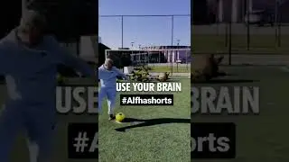 Yes brain is very important part of body so use in right time😎🔥#shorts#reels#Alfha