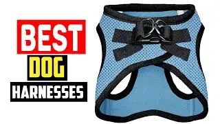 ✅Best Dog Harnesses in 2025