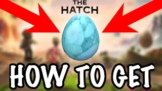[EVENT] How to get THE EGG OF ABSOLUTE ZERO in THE HATCH HUB