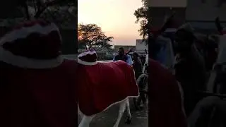garh ganga mela ko jata hua bell