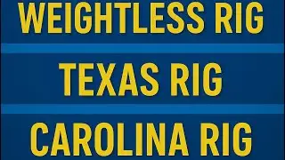  CLASSIC BASS RIGS Every Beginner Should Know! (Weightless, Texas & Carolina Rig) #bassfishing 