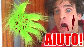 IL GRINCH E' ENTRATO IN CASA NOSTRA!!