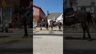 Happy 4th of July! 🇺🇸🤠🐴 #horse #mustanghorse #mustangs #parade