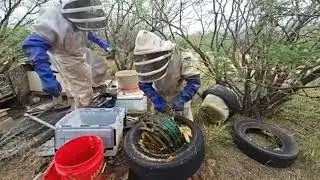 Honey Pot [Livestream Replay]