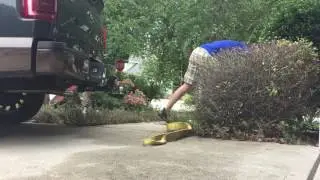 Removing a dead bush in under 60 seconds