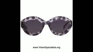 Azzedine Alaia Entry AA0004S 010 Sunglasses Womens Grey Grey Oval Shape 52mm  Grey SilverLogo Silver