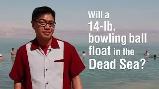 PLAUSIBLY RIDICULOUS: Will a 14 lb. Bowling Ball Float in the Dead Sea?