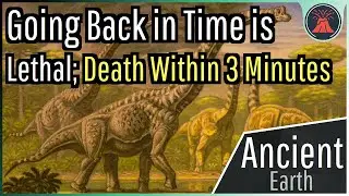 Going Back in Time is Lethal; Oxygen Toxicity