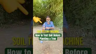 Essential Soil Testing Tips for a THRIVING Tree Plantation