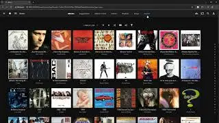 How to Delete Empty Jellyfin Artists and Genre Folders