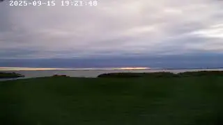 Svencelė Live