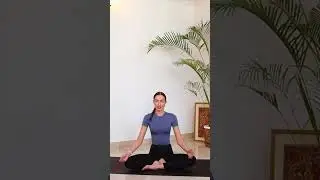 Yoga Moves For Beginners #thefunctionalyogi #yogaforbeginners #yogaonline #freeyogavideos