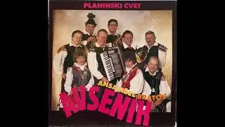 Ansambel bratov Avsenik - Lutka