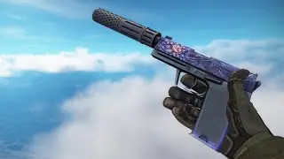 USP-S | Black Lotus (Minimal Wear) | CS:GO Skin Showcase