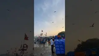KARWAR PORT #shorts #ytshortsvideo #viralvideo #trending