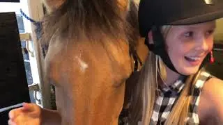 S&aring;dan Sadler Jeg op