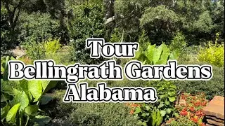 Bellingrath Garden Tour, Alabama