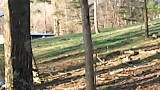 Real Goblin caught on tape in South Carolina