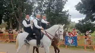 Pariglie di Sant'Isidoro, Quartucciu, con gli intrepidi cavalieri Sardi ...