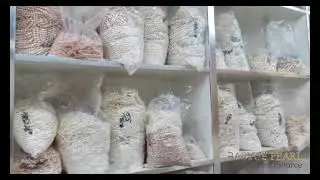 Natural Pearl Source, The pure pearls wholesaler with farmer directly prices.