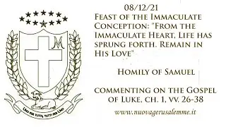 ENG 08/12/21Feast of the Immaculate From the Immaculate Heart, Life has sprouted. Remain in His Love