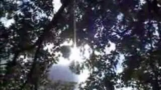 Fin Fin - Music Video by Rich Wattie