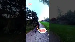 Lightweight E-Bikes in Canada