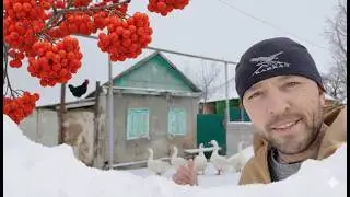 ЖИЗНЬ НА ХУТОРЕ - Возрождаю поместье Новая жизнь в старом доме.