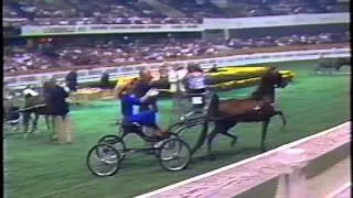 1988 Hackney and Harness Pony World Grand Championships