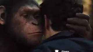 #GroCeroMusic
