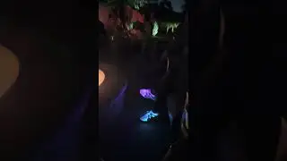 Led light up shoes! Amazon link in comments