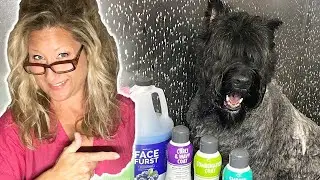 HOW DOG GROOMERS get your DOG so CLEAN! Secret to CLEANING your PET