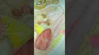 Drawing by Shora #healthy #healthyplate #shora'sarts #drawing #art #artist #artwork #draw #colors