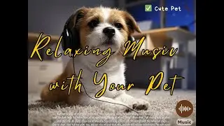 Gentle Melody for Animal 🐕🐱🐾 Lovers💖🎶 - Cute Dog🐶 Listening to Music with You 🎧