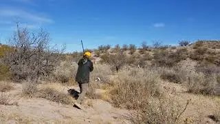 Finding the Quail! New Mexico Quail Hunting 2025 with The Santa Fe Guiding Co!